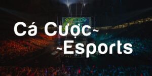 Bí quyết cá cược Esport tại nhà cái Mk Sports nắm chắc chiến thắng